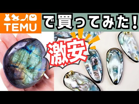 【激安すぎて怪しい】TEMU(テム)で大量購入！クオリティはいかに⁉️米国1位のサイトが日本上陸。