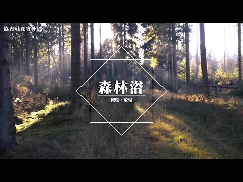 【 #協青社深宵外展】森林浴 | 放鬆 | 減壓🧘🏻‍♀️🧘🏼‍♂️