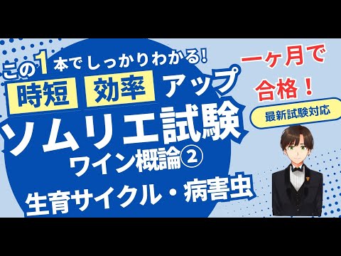 【語呂ワイン／ソムリエ・ワインエキスパート試験】ワイン概論②〜ぶどうの生育サイクル＆病虫害、生育障害