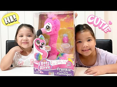 ZURU PETS ALIVE FRANKIE THE FUNKY FLAMINGO!