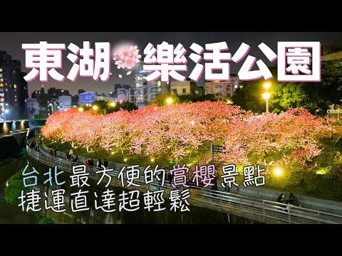 【台北景點🌸】不用開車！搭捷運就能到的台北賞櫻秘境「東湖樂活公園 」| Taiwan 🇹🇼 Travel