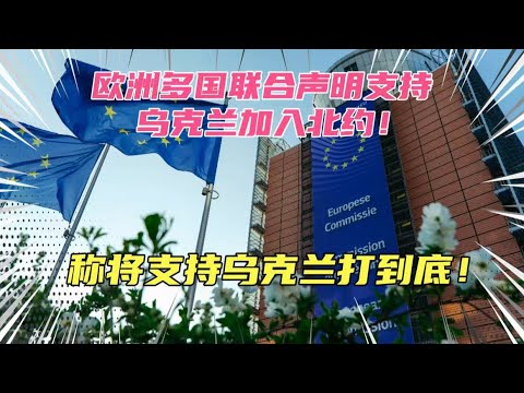 欧洲多国联合声明支持乌克兰加入北约！称就算美国减少援助，也将支持乌克兰打到底！