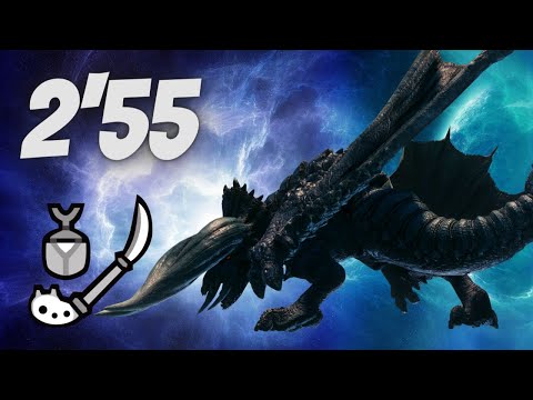 MHW Iceborne Black Diablos 2'55 Insect Glaive WR