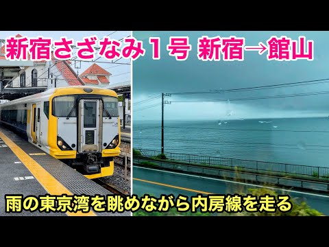 【海の車窓】内房線 特急新宿さざなみ１号 E257系 新宿→館山　雨の東京湾を巡る See Japan by train “Ltd. Express Sazanami”