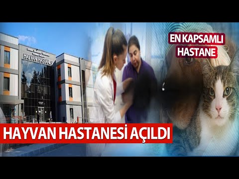 Hayvan  Hastanesi Açıldı | Yılda 50 Bin Hayvan Muayene Edilecek