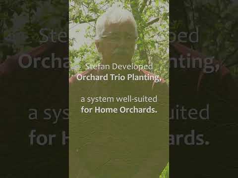 TRIO Companion Planting for Your Permaculture HOME Orchard!