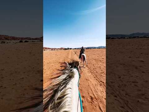 POV: horse riding in Namibia 🐴 #westernriding