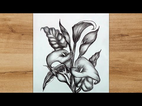 How to Draw Calla Lily Flowers | Flowers Drawing Tutorial | Step by Step