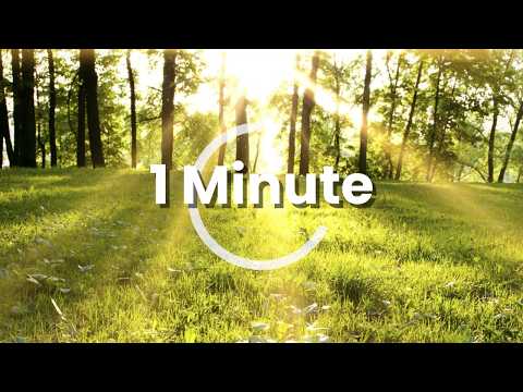 Instant Relaxation - 1 Min / 60 Sec Mindful Moment – “Forest Floor"