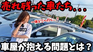 車屋の売れなかった在庫たちは一体どうなるの？【展示場お散歩トーク】