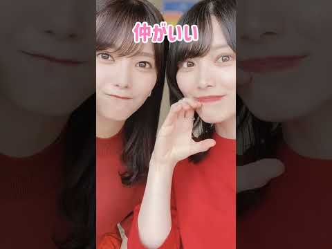 森田ひかる×田村保乃は仲良しコンビ 櫻坂46 #shorts