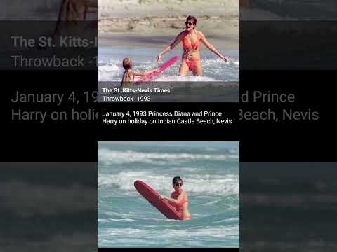 Prince Harry Is Living His Best Life| Shows Off Surfing Skill