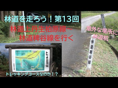 『林道を走ろう！』第１３回　林道上丹生柏原線から林道稗谷線を行く