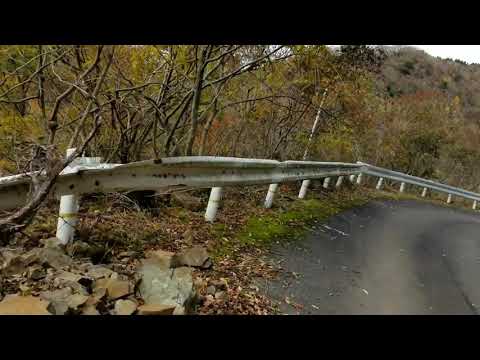 高島市紅葉ライド～箱館山、処女湖、もみじ池