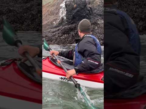 Paddling Out The Golden Gate For The First Time.