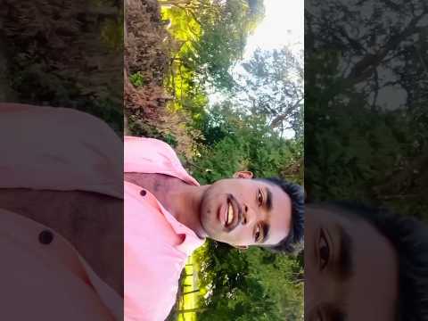 Chh@attisgarhi satnami video #Tiktok Instagramshyam kuteliha | cg songchhattisgarhi satnami video t