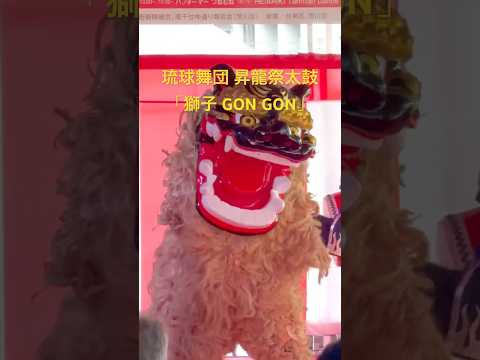 獅子 GONG GONG 琉球舞団 昇龍祭太鼓