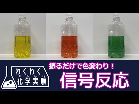 信号反応【わくわく化学実験③】