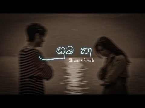 නුඹ හා | Numba Ha [slowed + reverb] | DEZTER BEATS