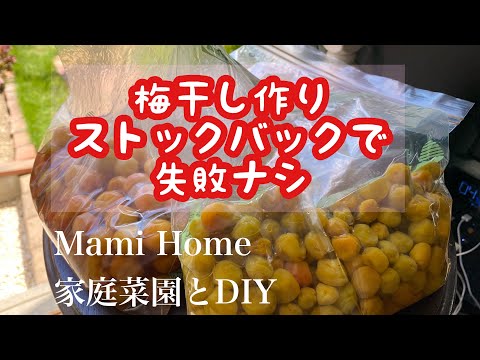 失敗しない梅干し作り / ストックバックで失敗知らず