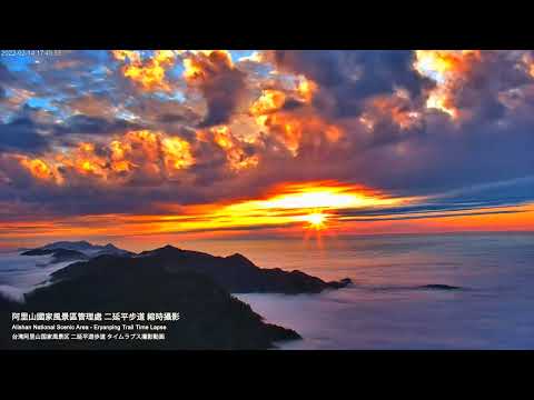 阿里山即時影像-二延平步道-縮時 | Eryanping Trail Sunset Timelapse in Alishan, Taiwan 2022-02-14