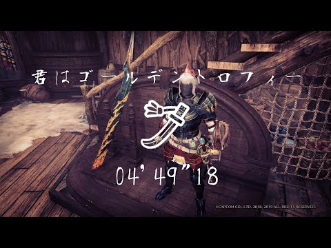 [MHW:IB]アイスボーンで一世を風靡したテンプレ装備【臨界ブラキ太刀＋カブカカブ】