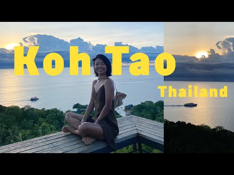 Is Koh Tao, Thailand the BEST ISLAND? | freediving, mural painting vlog