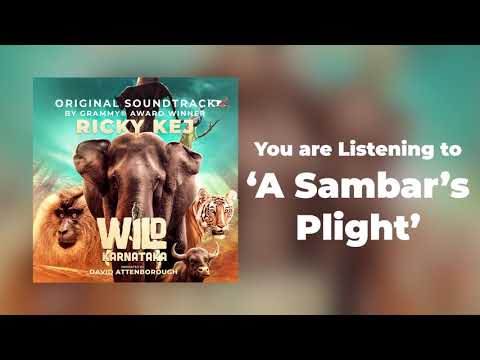 17 Wild Karnataka - A Sambar's Plight - Original Soundtrack by Ricky Kej