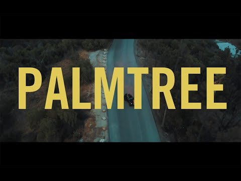 Yurufuwa Gang "Palm Tree" (Official Video)