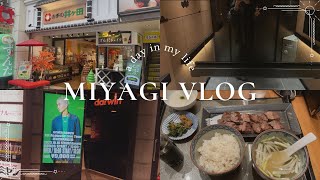 【 Vlog 】1人遠征┊仙台満喫vlog🐮┊のつもりがバッグの中身がメインになった不思議な話