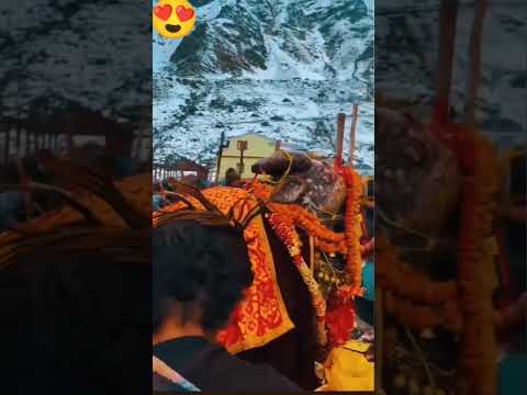 Har Har Mahadev || Kedarnath dham #mahadev #mahadevstatus #mahakal #viral