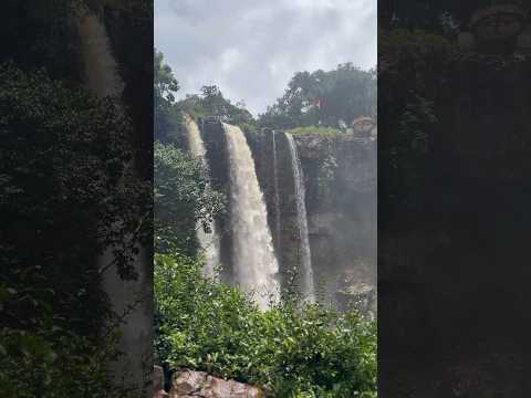 कपिल धारा/दूध धारा #अमरकंटक #amarkantak #viral #shorts #ytshorts #youtubeshorts #trending #waterfall