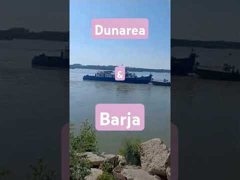 Dunărea #short #barjora #barjazzclassics #barca #magic #try #fluvsies #fluvial ♥️♥️♥️♥️♥️♥️♥️♥️♥️