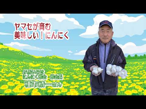 2023年2月24日放送「Fresh Vegetable」旬の青森県産にんにく紹介～JAおいらせより～