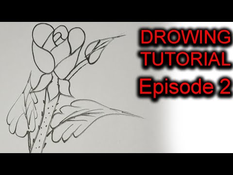 See how to draw roses | Drawing Episode 2 | Rupkothar Golpo