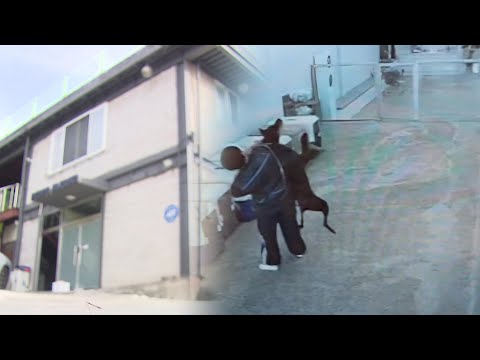 ABUSIVE PET DAYCARE FOOTAGES EXPOSED