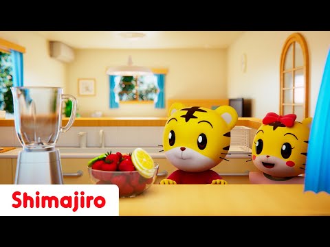 CELEBRATE FAMILY FUN! 💖 | Memorable Moments with Shimajiro 🎶 | Songs for Kids 👨‍👩‍👧‍👦