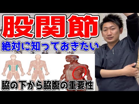 【関係性】脇の下から脇腹は股関節とこんな関係があります【#ハリボディTV】