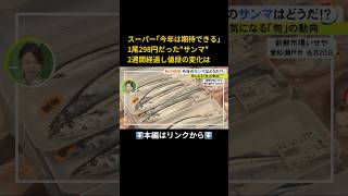 ⬆️本編はリンクから⬆️“令和の米騒動”の中…気になる『秋の味覚の価格や出来』を調査 サンマが値下がり見通しの一方でサケは高値か#shorts