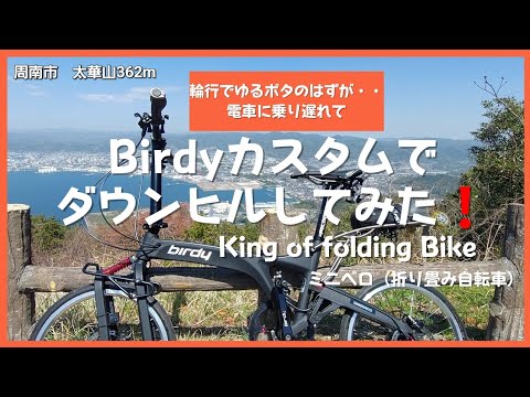 Birdyカスタムでダウンヒルしてみた❗ミニベロ（折り畳み自転車）太華山362m