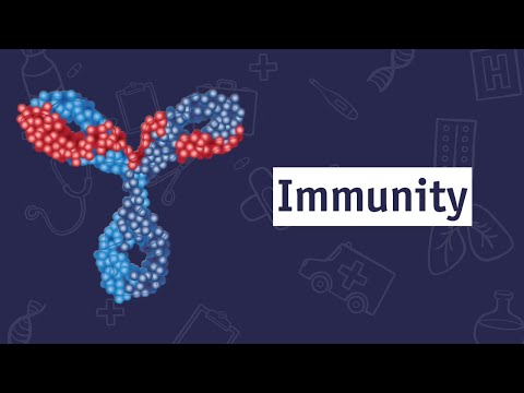 Is Immunity Real?