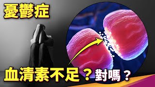 最新研究不支持憂鬱症主因是血清素失衡引起？抗憂鬱藥物之外的治療選擇【會員選題】