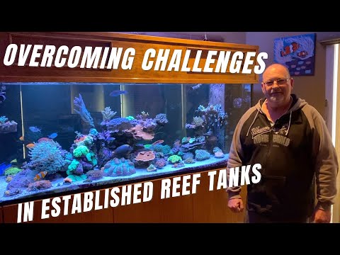 John's 6 year old Reef Tank