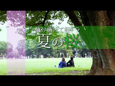 駆け抜けて軽トラ　MV「夏の桜」