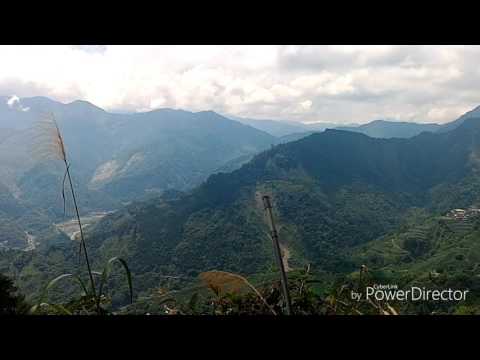 太和寈芳茶園