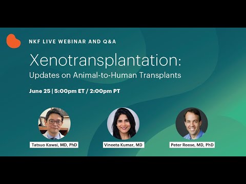 Xenotransplantation: Updates on Animal-to-Human Transplants