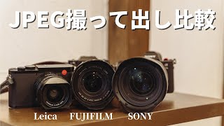 【Leica、SONY、FUJIFILMでJPEG撮って出しを比較してみる】カメラVlog