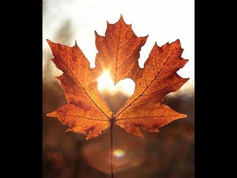 AUTUMN LEAVES Eva Cassidy - SPECIAL VIDEO - Lyrics - London Symphony Orchestra