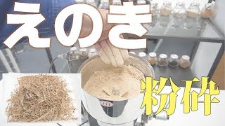 【えのき粉末】卓上粉砕機で干しえのきをパウダー加工（ハイスピードミル）