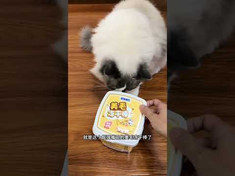 老一辈总嫌弃猫咪掉毛不让养，但孩子的做法整顿了老一辈… #猫和孩子 #猫咪掉毛